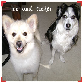 Leo and Tucker