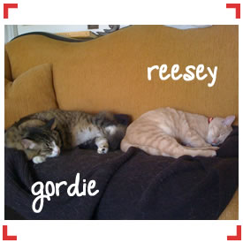 gordie and reesey